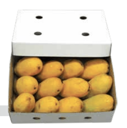 12 mangoes